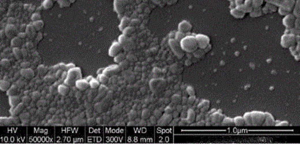 Scanning Electron Microscopy image of Tinosorb® A2B.